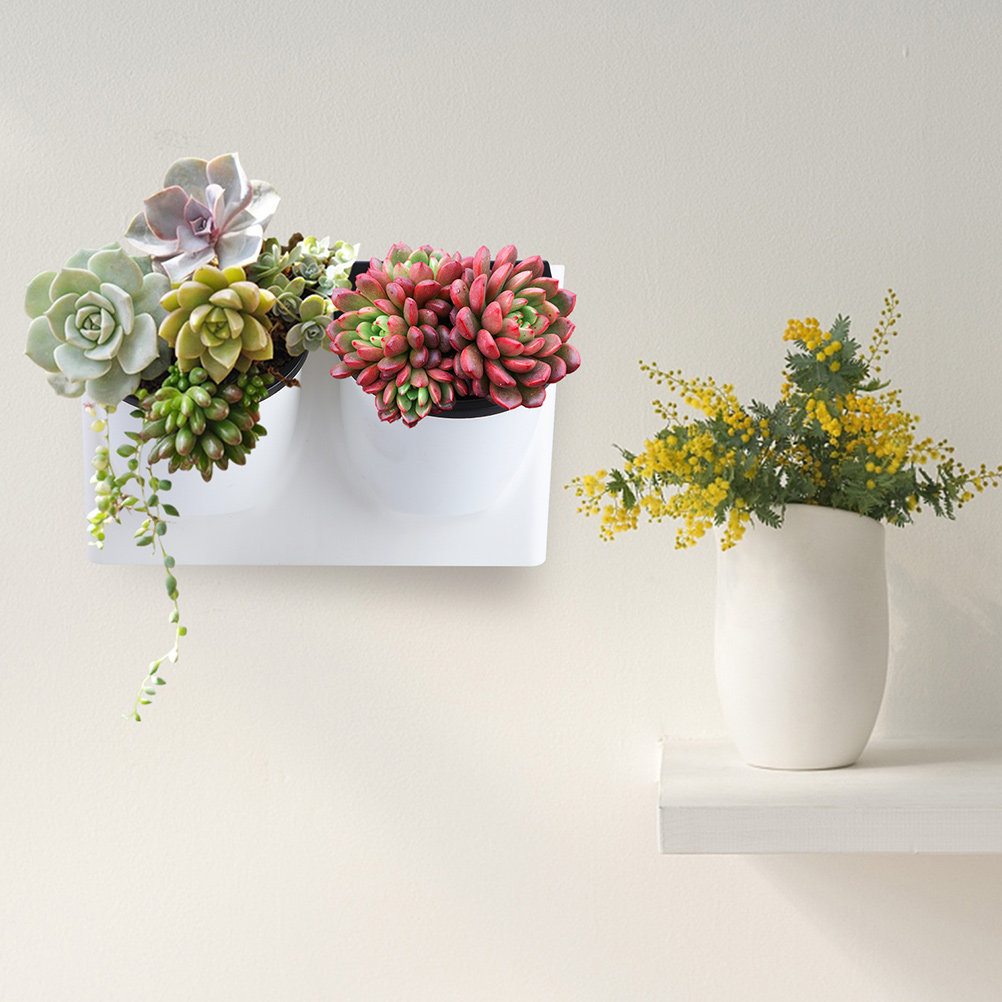 Self-Watering Planter - Vaso per Fiori Autoirrigante in Plastica