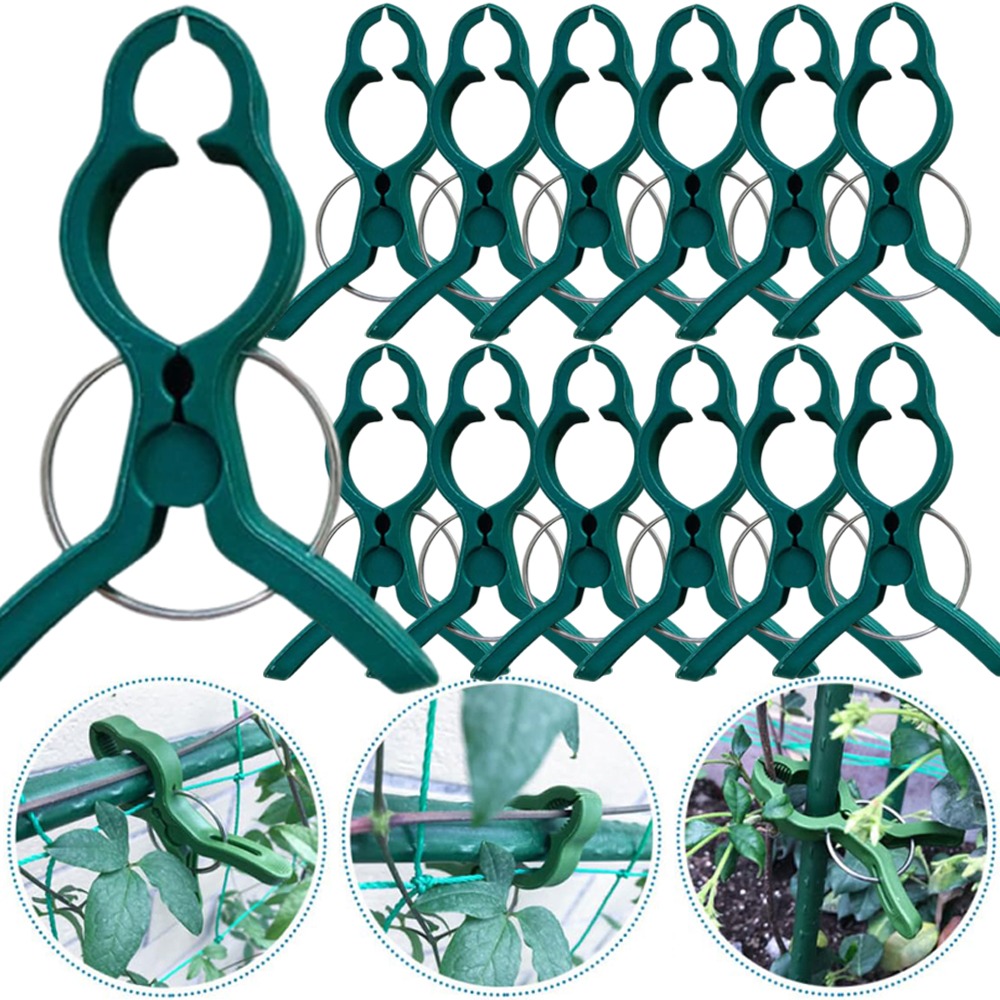 Gardening Tools For Vines - 50/10 Pezzi Clip di Supporto per