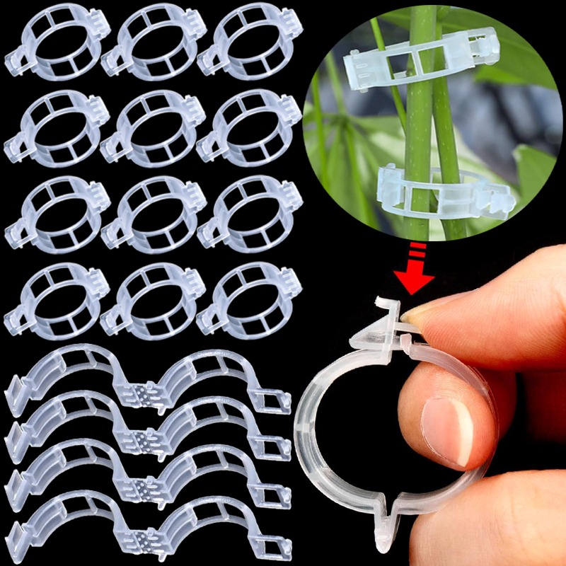 Gardening Tools For Vines - 300/50 Pezzi Clip di Supporto per