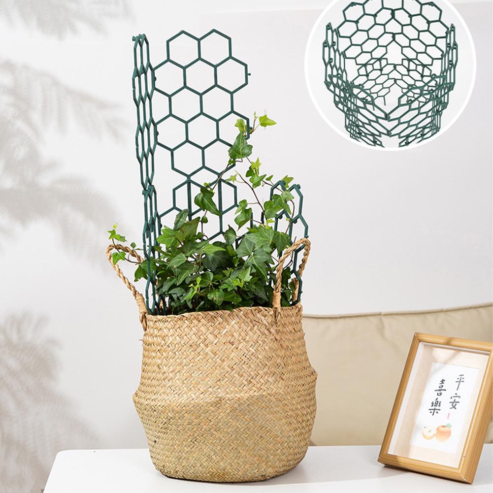 1/2/5 Pezzi Supporto in Plasti - Gardening Tools For Vines recensione e prezzo