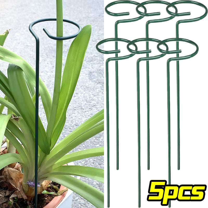 1/10pcs Supporto da giardino P - Gardening Tools For Vines recensione e prezzo