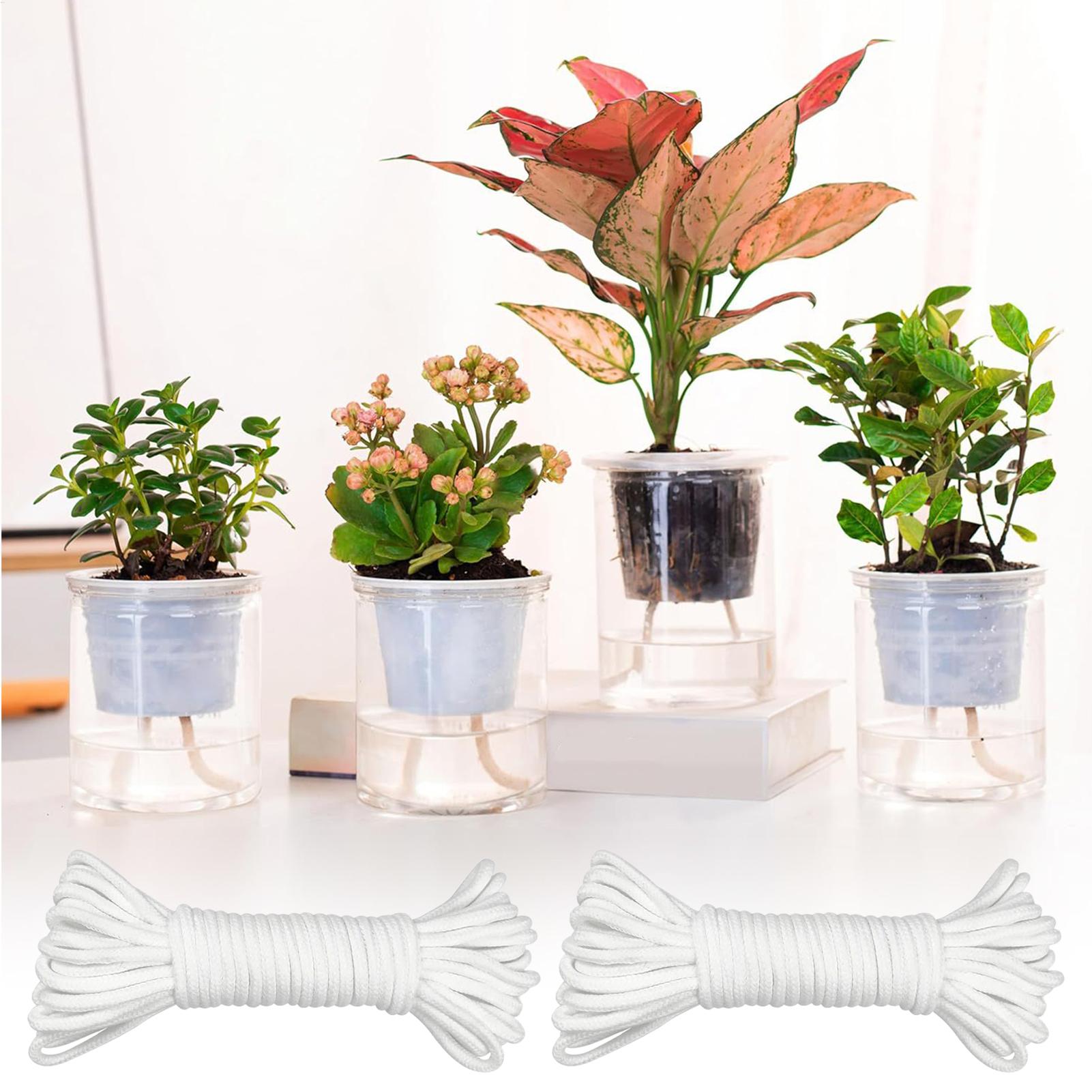 Corda per irrigazione automati - Self-Watering Planter recensione e prezzo