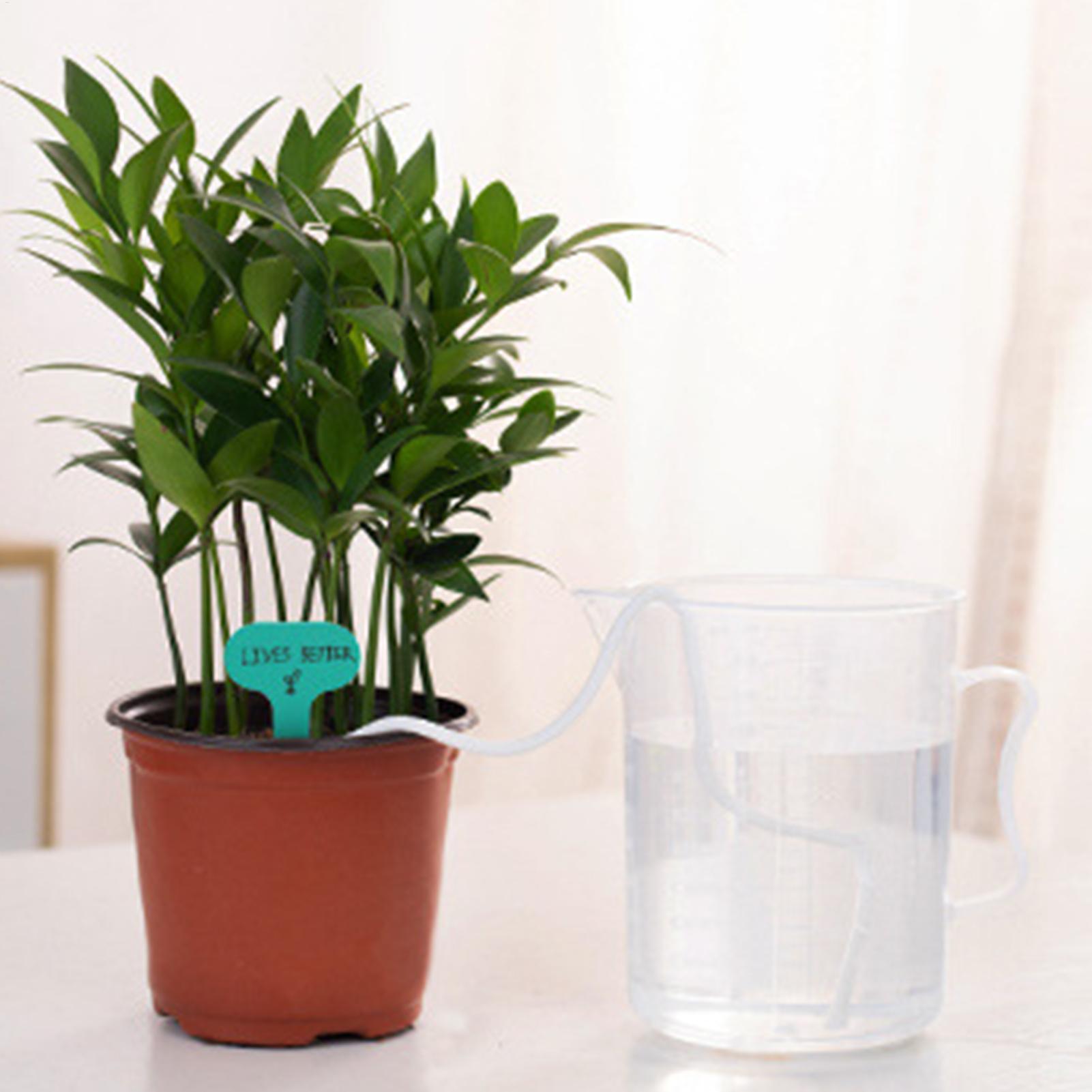 Corda per irrigazione automati - Self-Watering Planter recensione e prezzo