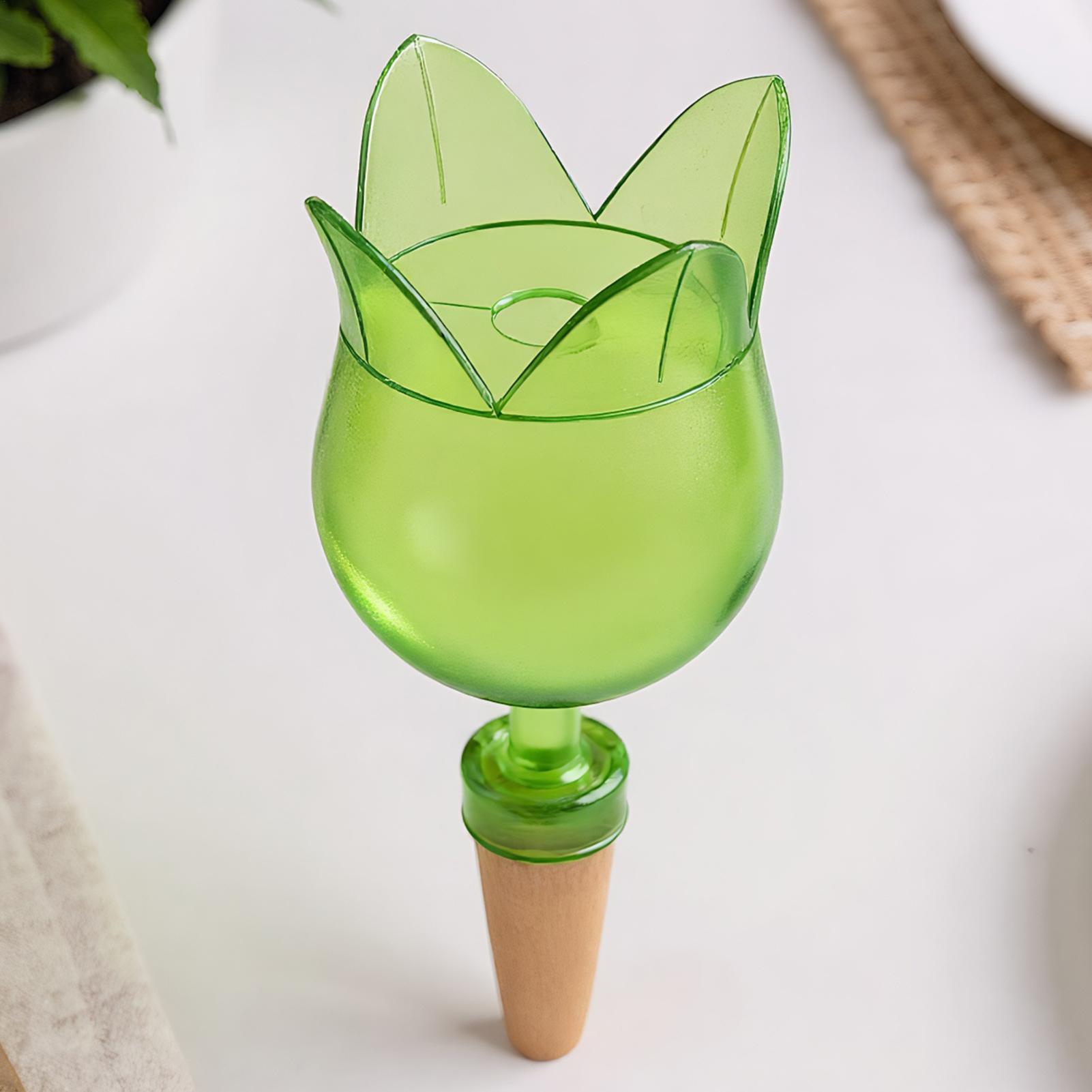 Dispositivi di irrigazione aut - Self-Watering Planter recensione e prezzo