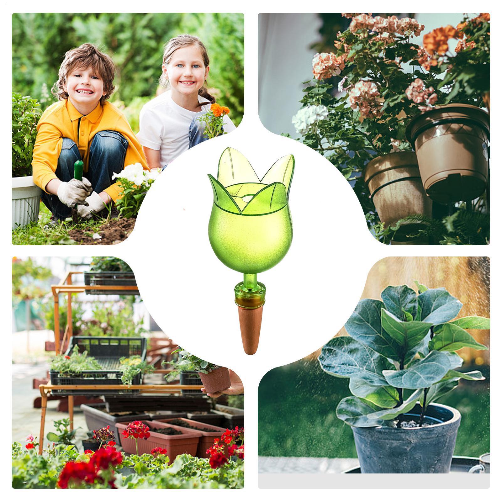 Dispositivi di irrigazione aut - Self-Watering Planter recensione e prezzo