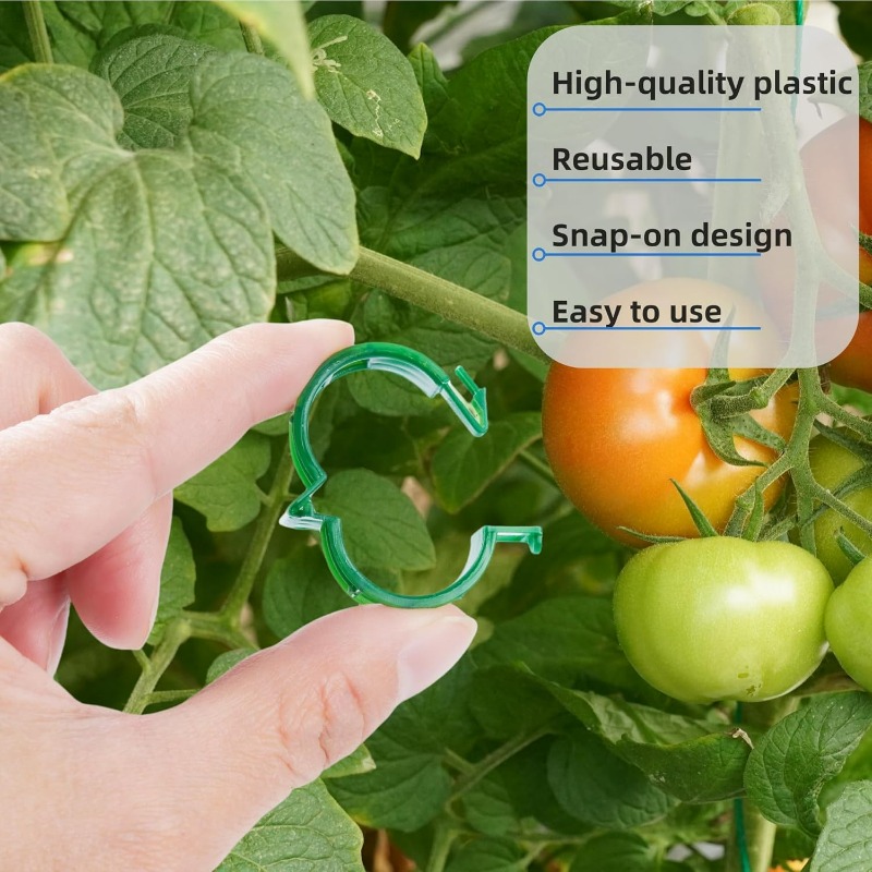 Clip di Supporto per Piante in - Gardening Tools For Vines recensione e prezzo