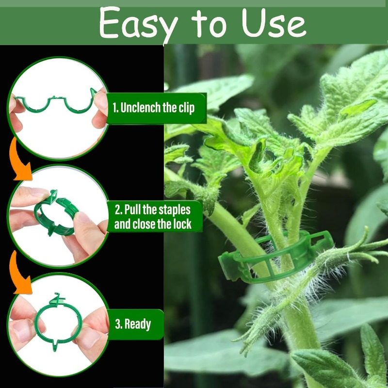 Clip di Supporto per Piante in - Gardening Tools For Vines recensione e prezzo