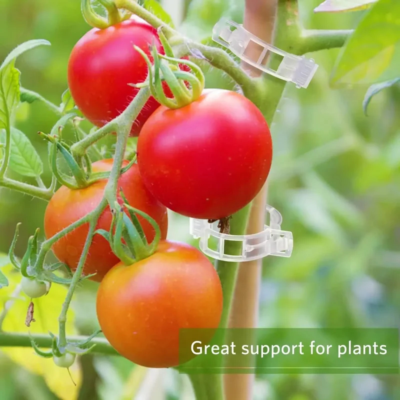 Clip di Supporto per Piante Ri - Gardening Tools For Vines recensione e prezzo