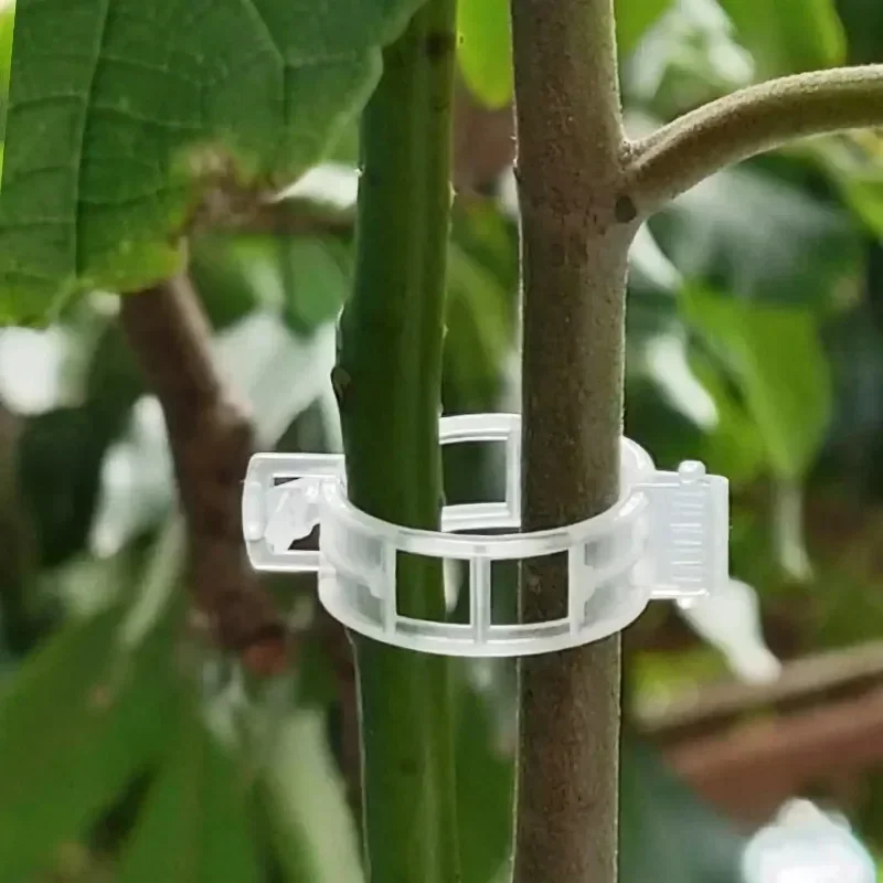 Clip di Supporto per Piante Ri - Gardening Tools For Vines recensione e prezzo
