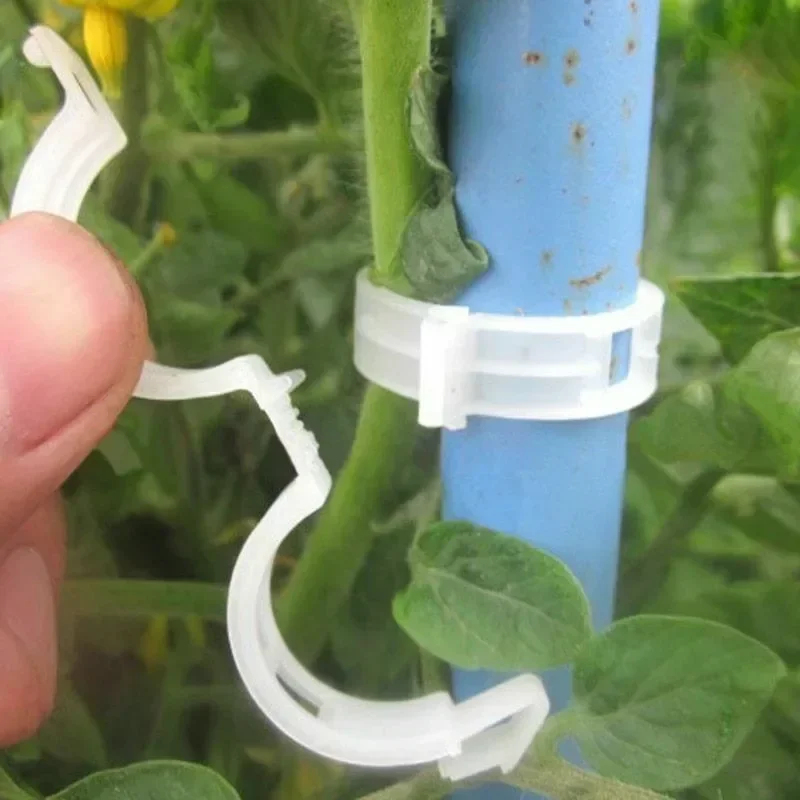 Clip di Supporto per Piante Ri - Gardening Tools For Vines recensione e prezzo