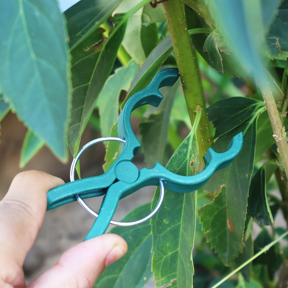 50/10 Pezzi Clip di Supporto p - Gardening Tools For Vines recensione e prezzo