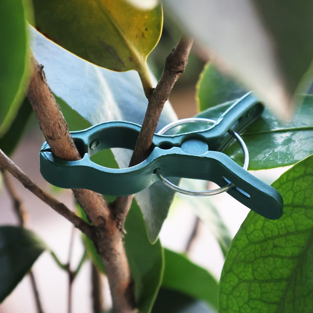 50/10 Pezzi Clip di Supporto p - Gardening Tools For Vines recensione e prezzo