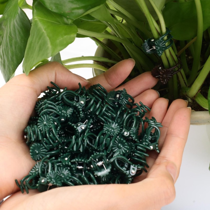 Clip di Supporto Mini per Pian - Gardening Tools For Vines recensione e prezzo