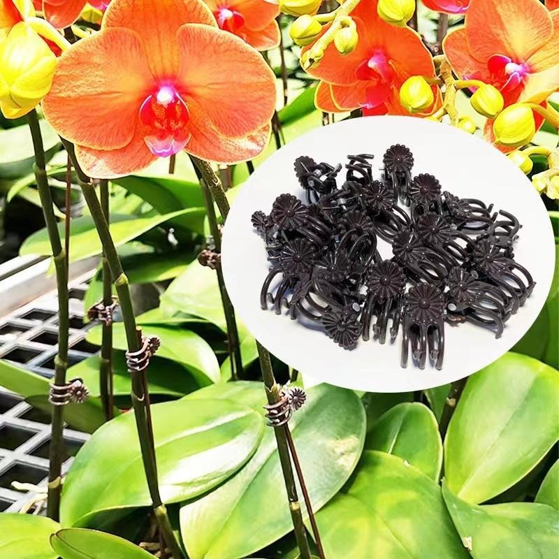 Clip di Supporto Mini per Pian - Gardening Tools For Vines recensione e prezzo