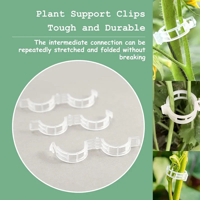 100PCS Pianta Clip di Fissaggi - Gardening Tools For Vines recensione e prezzo