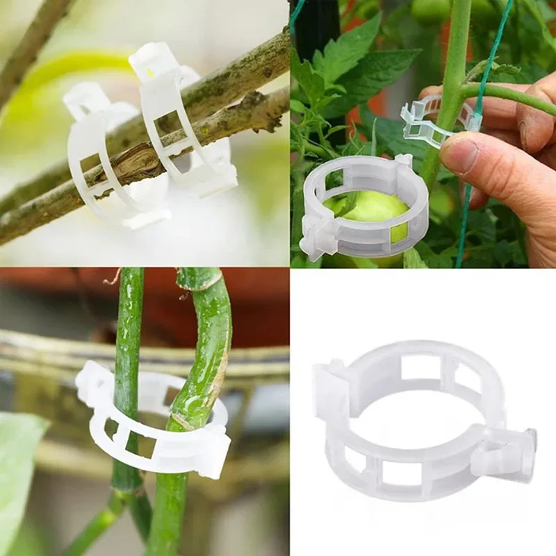 100PCS Pianta Clip di Fissaggi - Gardening Tools For Vines recensione e prezzo