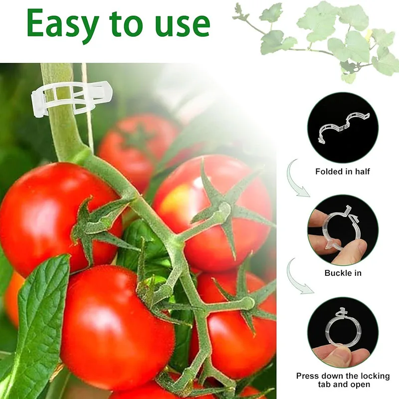 100PCS Pianta Clip di Fissaggi - Gardening Tools For Vines recensione e prezzo