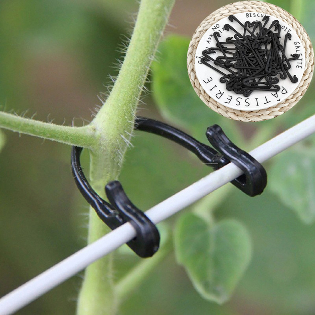 50-500 Pezzi Clip di Fissaggio - Gardening Tools For Vines recensione e prezzo