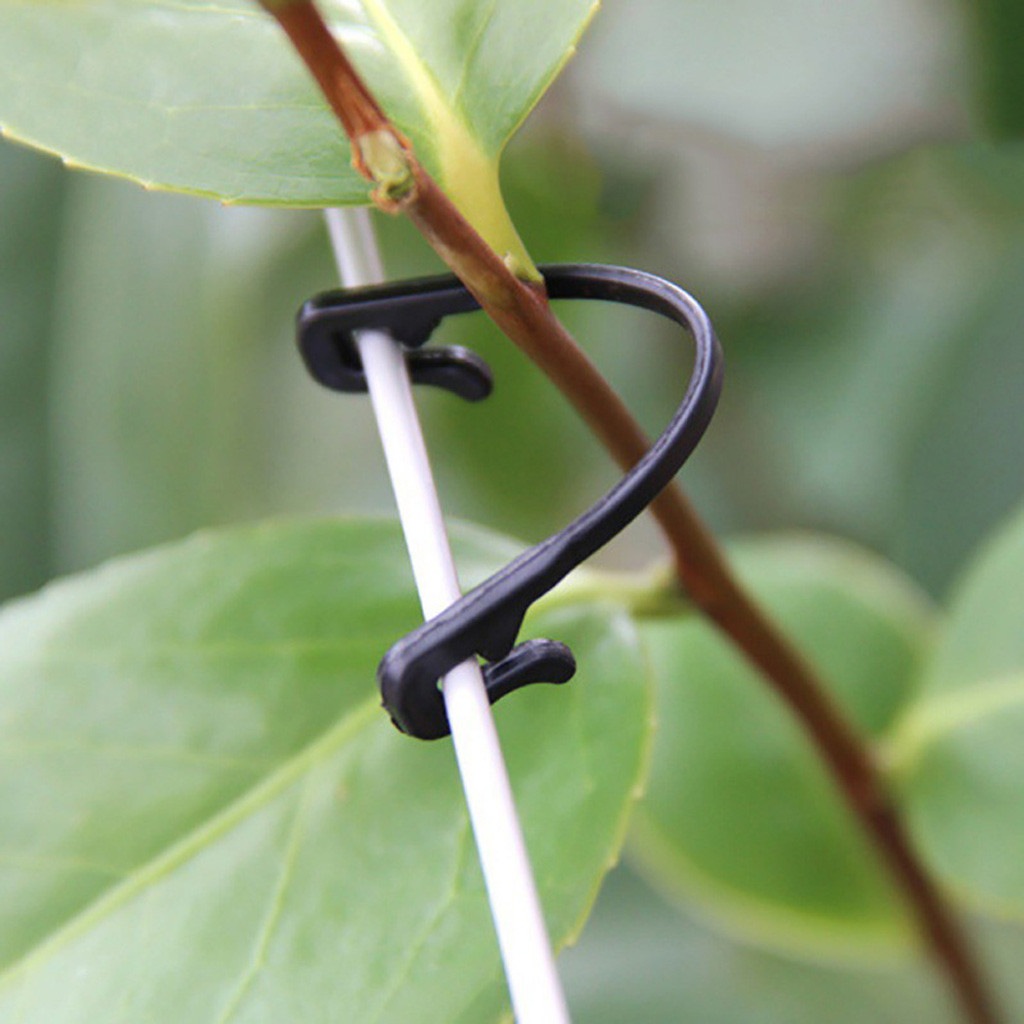 50-500 Pezzi Clip di Fissaggio - Gardening Tools For Vines recensione e prezzo
