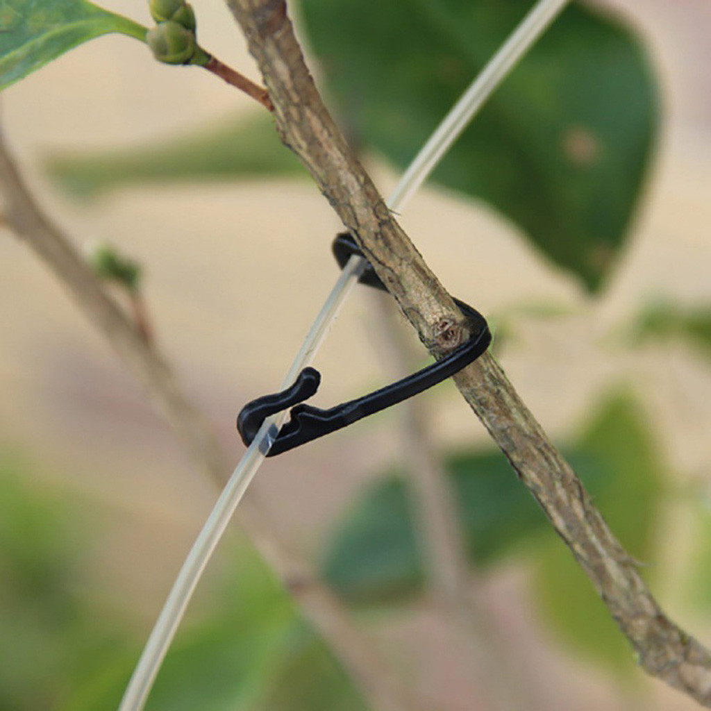 50-500 Pezzi Clip di Fissaggio - Gardening Tools For Vines recensione e prezzo