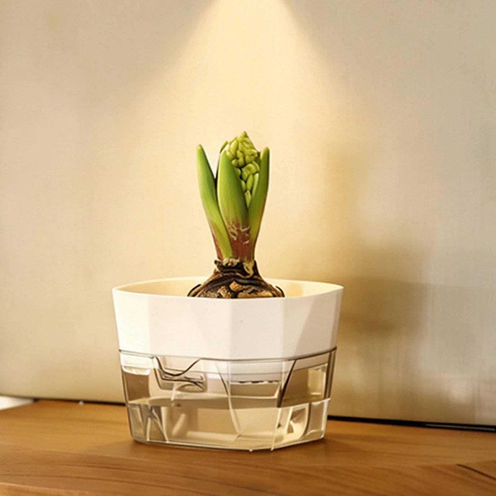 Vaso Idroponico a Due Strati c - Self-Watering Planter recensione e prezzo