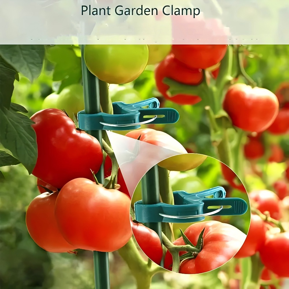 Clip regolabili per piante da  - Gardening Tools For Vines recensione e prezzo
