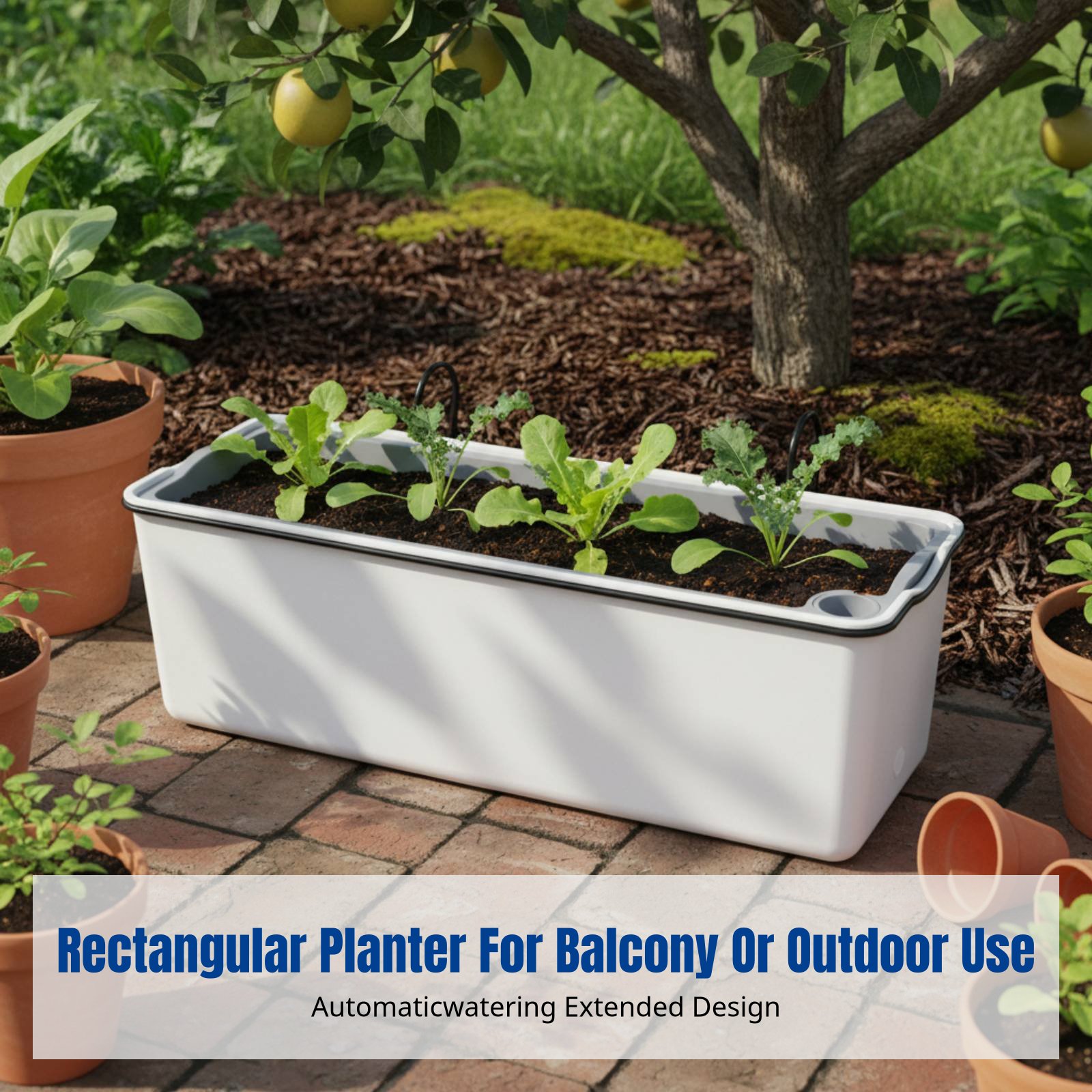 Fioriera Rettangolare Autoirri - Self-Watering Planter recensione e prezzo