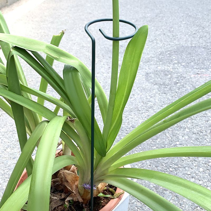 1-10 pezzi in metallo a stelo  - Gardening Tools For Vines recensione e prezzo