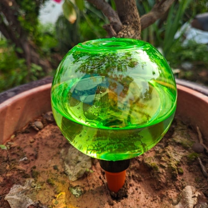 Set di 3 Grandi Sfere Autoirri - Self-Watering Planter recensione e prezzo