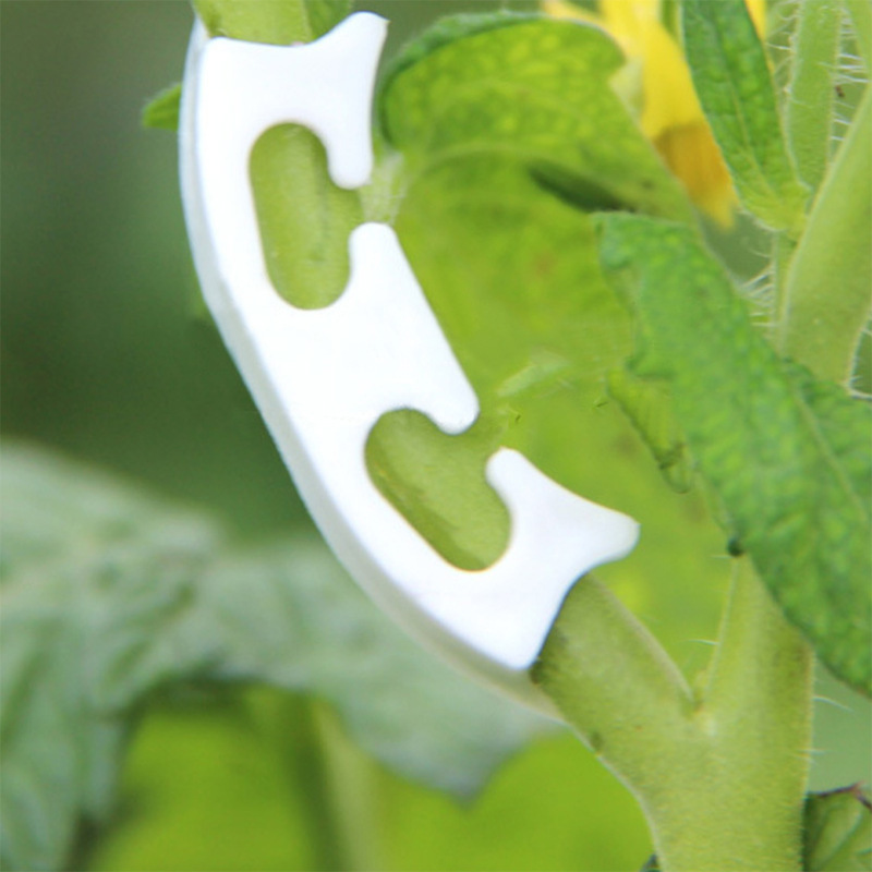 50/100 pz botanica-stelo vite  - Gardening Tools For Vines recensione e prezzo