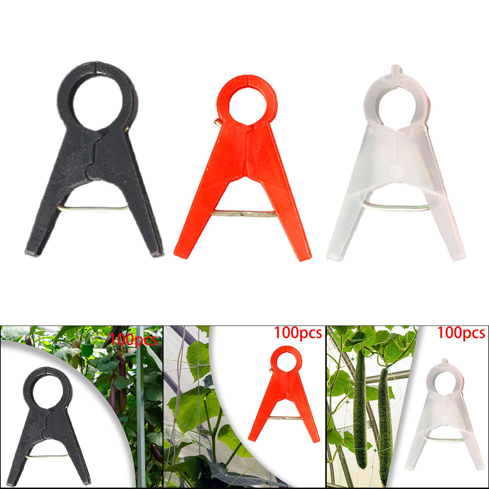 100Pcs clip di supporto per pi - Gardening Tools For Vines recensione e prezzo