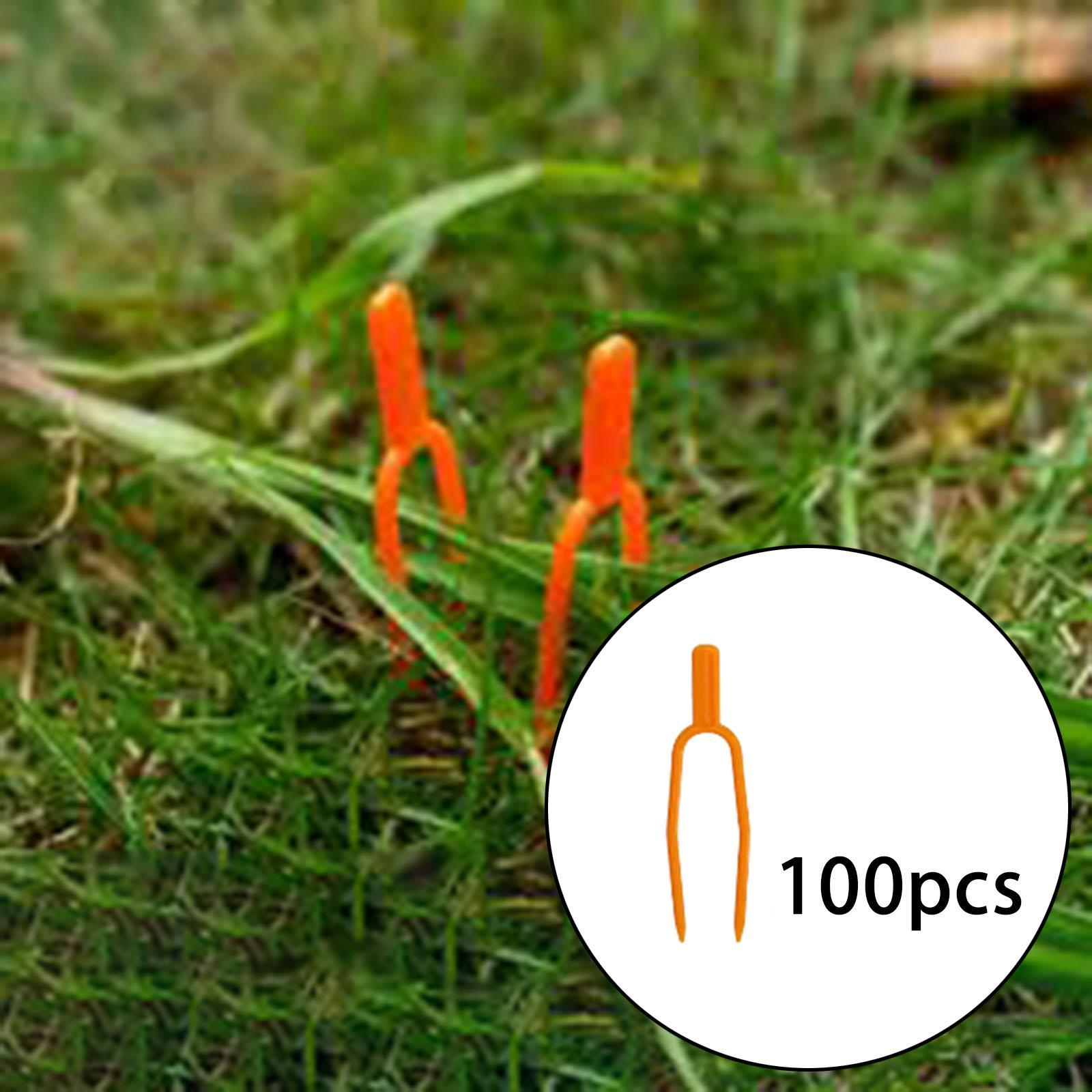 Clip di Fissaggio per Steli di - Gardening Tools For Vines recensione e prezzo