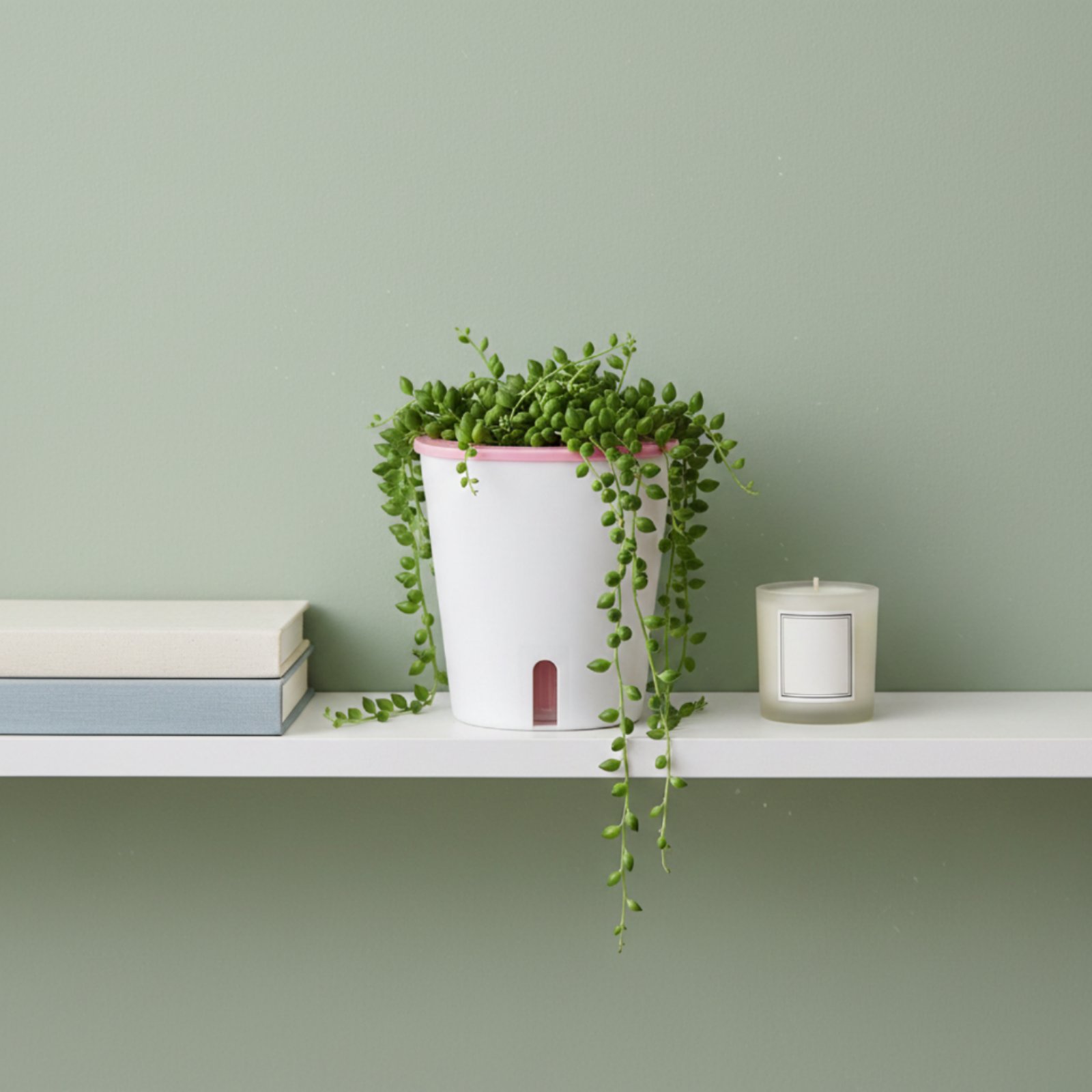 Vaso Autoirrigante di Grandi D - Self-Watering Planter recensione e prezzo