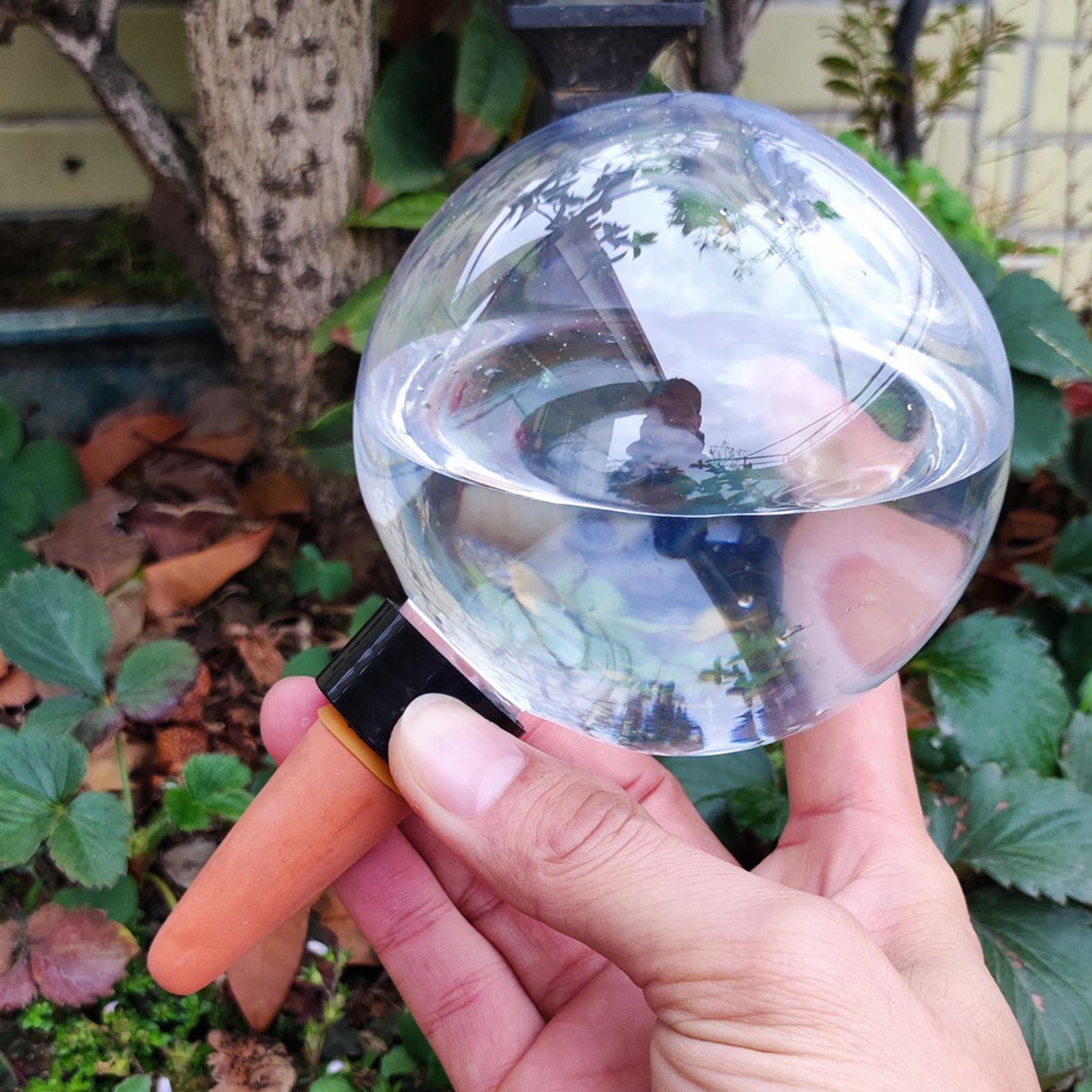 Lampadine per irrigazione auto - Self-Watering Planter recensione e prezzo