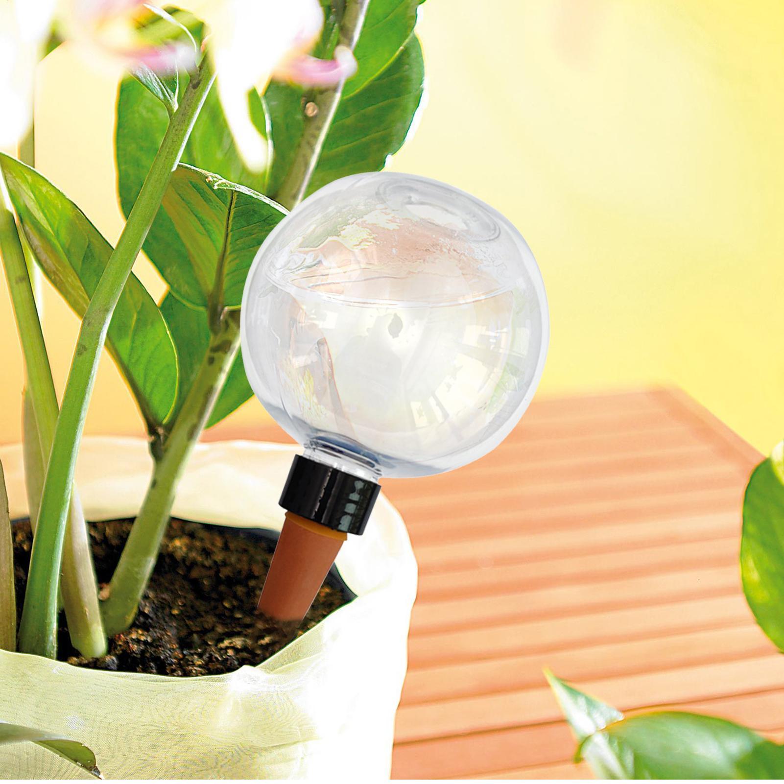 Lampadine per irrigazione auto - Self-Watering Planter recensione e prezzo