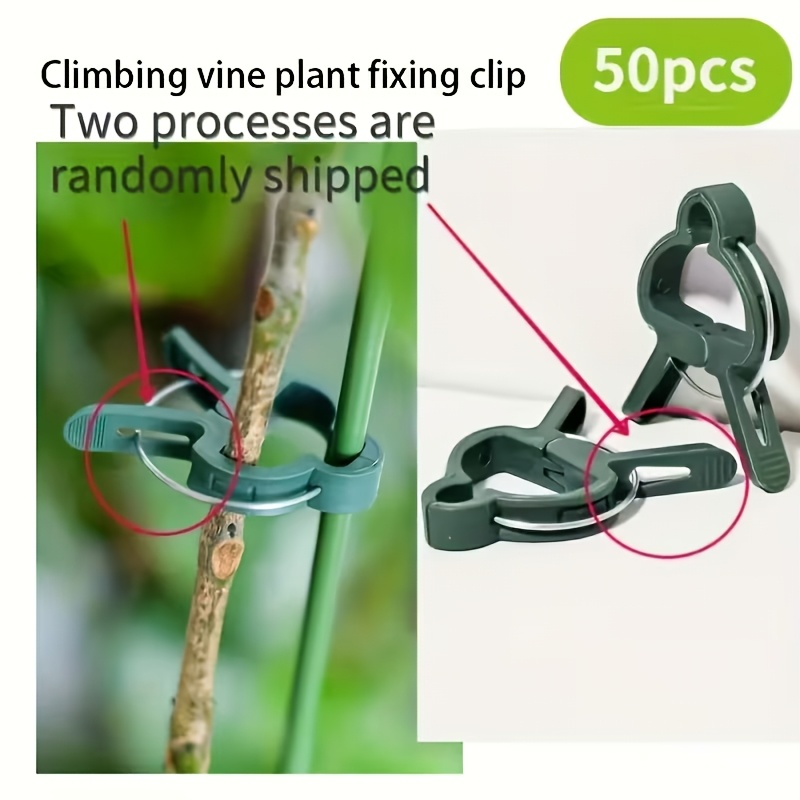 20 Clip Regolabili per Support - Gardening Tools For Vines recensione e prezzo