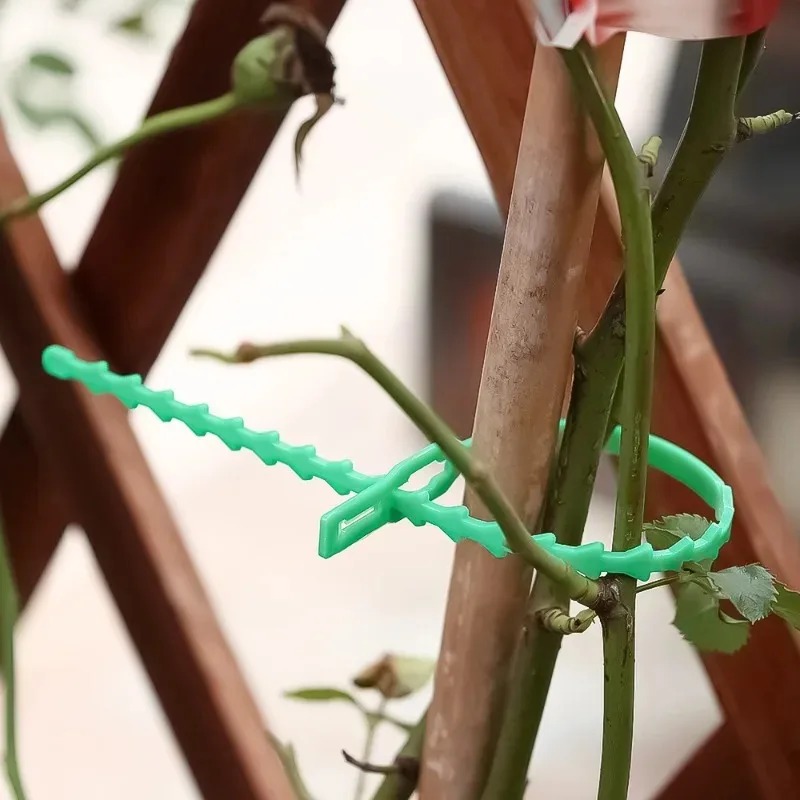 Fascette Riutilizzabili per Gi - Gardening Tools For Vines recensione e prezzo