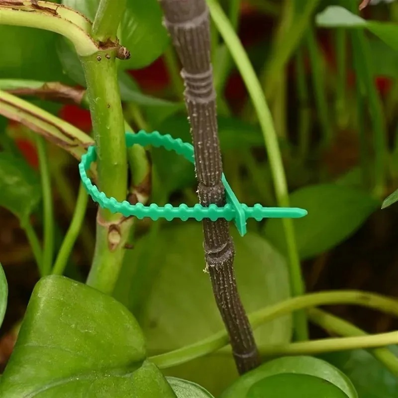 Fascette Riutilizzabili per Gi - Gardening Tools For Vines recensione e prezzo