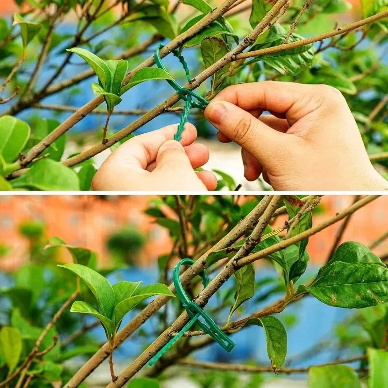 Fascette Riutilizzabili per Gi - Gardening Tools For Vines recensione e prezzo