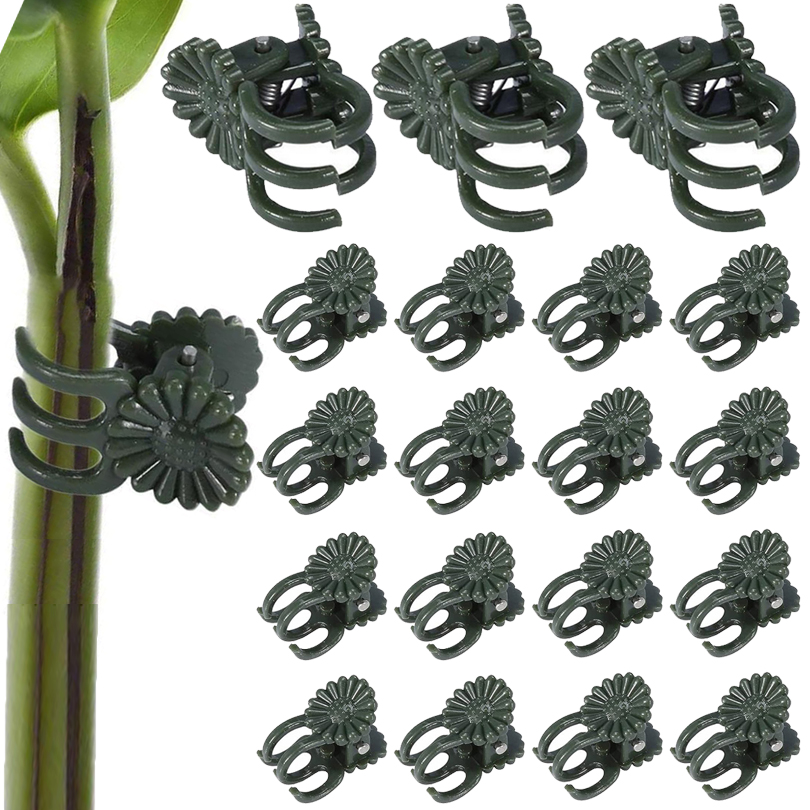 20/50/100 pz Clip per piante m - Gardening Tools For Vines recensione e prezzo