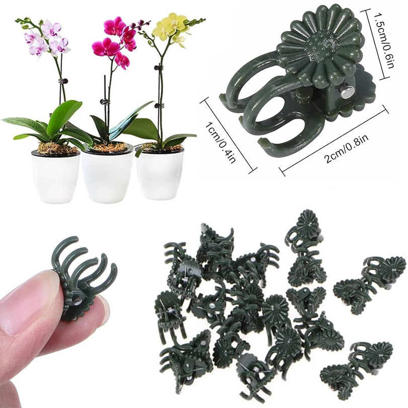 20/50/100 pz Clip per piante m - Gardening Tools For Vines recensione e prezzo