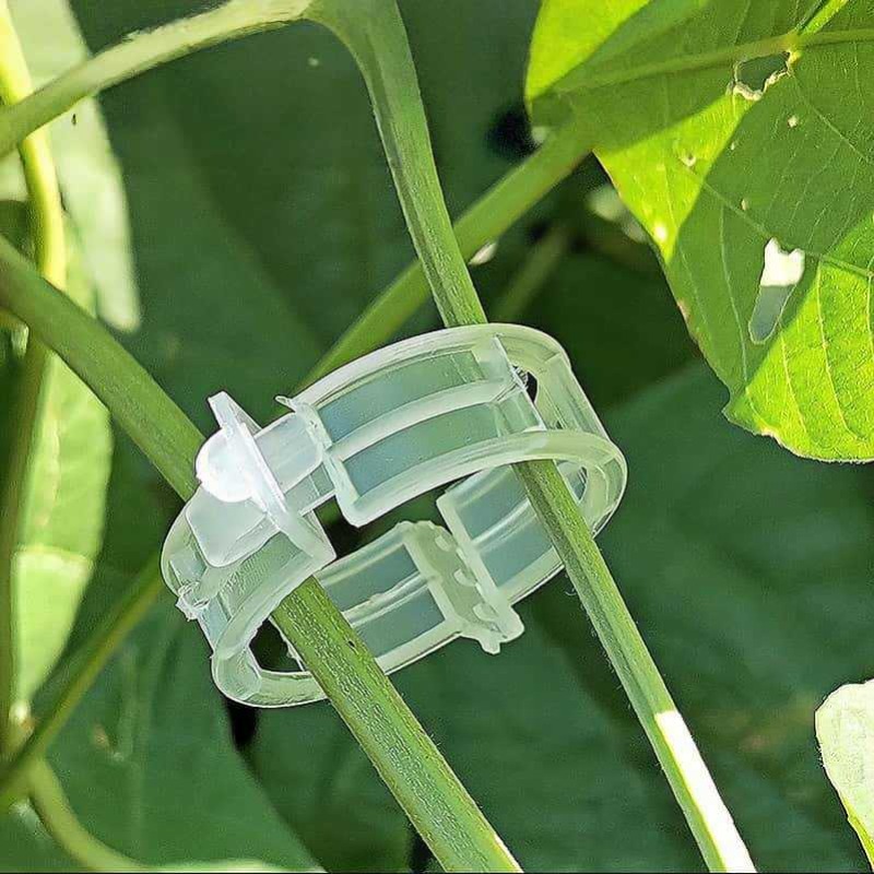 300/50 Pezzi Clip di Supporto  - Gardening Tools For Vines recensione e prezzo