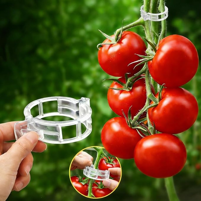 300/50 Pezzi Clip di Supporto  - Gardening Tools For Vines recensione e prezzo